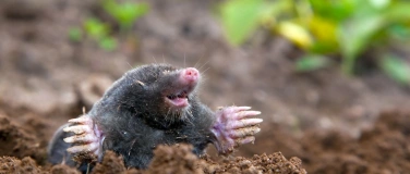 Event-Image for 'Naturama Kinderclub: Supersinn TASTEN bei Mensch und Tier'