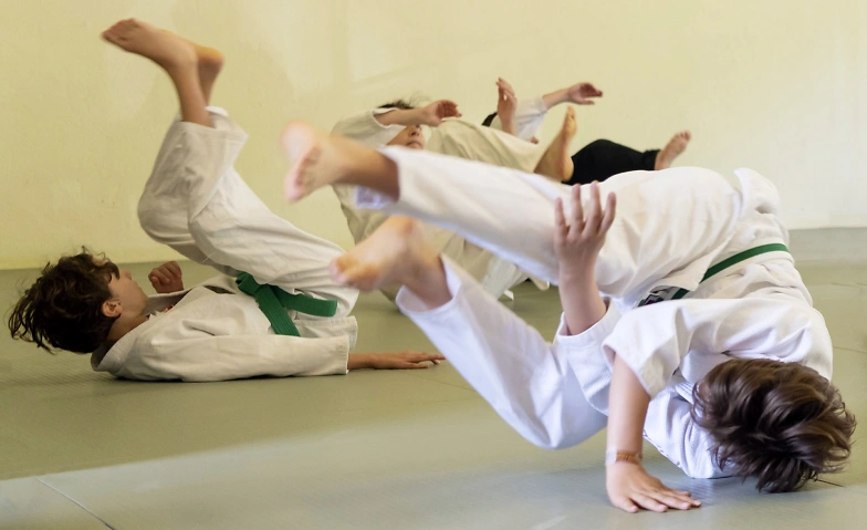 Aikido für Kinder (6 bis 12 Jahre) Aikido Ennetbaden, Badstrasse 9, 5408 Ennetbaden Tickets