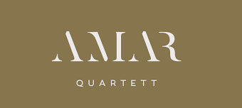 Veranstalter:in von Mehr als Film. Mehr als Konzert - Stummfilmauff&uuml;hrung