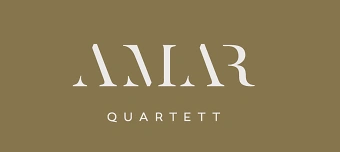 Veranstalter:in von Mehr als Film. Mehr als Konzert - Stummfilmauff&uuml;hrung