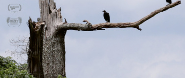 Event-Image for 'An Hour from the Middle of Nowhere'