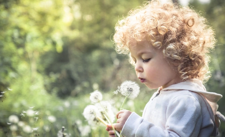 Event-Image for 'Anlaufstelle Frühe Kindheit'