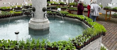 Event-Image for 'Wildpflanzen- und Kr&auml;utermarkt Arlesheim'