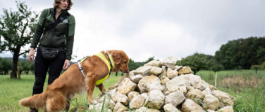 Event-Image for 'Artenspürhunde - Forscher aus Leidenschaft'