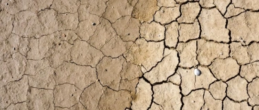 Event-Image for 'Auf dem Trockenen? Die Zukunft des Wassers in Berlin'