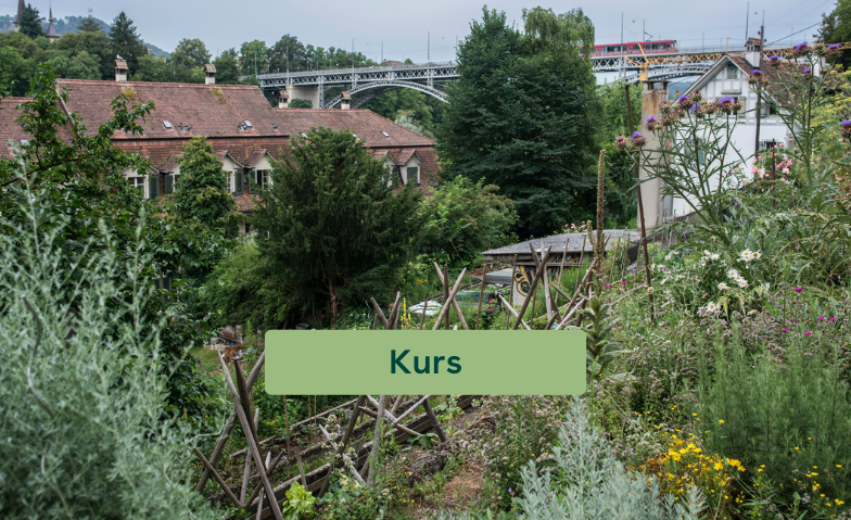 Event-Image for 'Biologisch G&auml;rtnern mehrteiliger Bioterra Kurs'