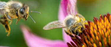 Event-Image for 'Fr&uuml;hlingstag'