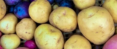 Event-Image for 'Patate & Bollicine'