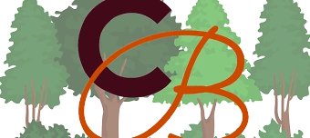 Veranstalter:in von Weltgeschichtentag - Leuchten in der Nacht