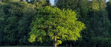 Event-Image for 'Selbstf&uuml;rsorge zum Jahresende'