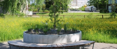 Event-Image for 'Eröffnung Park Stephanshorn'
