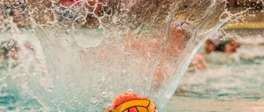 Event-Image for 'Wasserball 2. Bundesl. Männer SSV Esslingen - SpVg Laatzen'