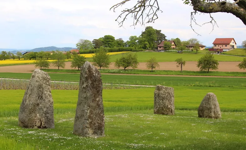 Die Menhire von Corcelles-près-Concise Menhire, Le tombex, 1426 Corcelles-près-Concise Tickets