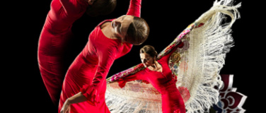 Event-Image for 'Bettina Castaño und Alexander Boeschoten - Virtuose Sinnlich'