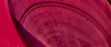 Event-Image for 'Mords was los! Kurzkrimis und Ratekrimis live performt!'