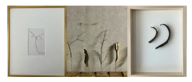 Event-Image for 'Finissage NATURGESTALTEN'