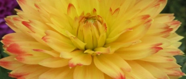 Event-Image for 'Treff der Alleinstehenden'