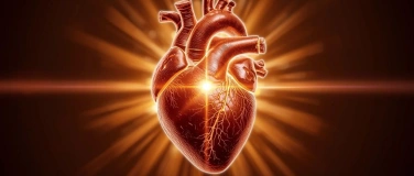 Event-Image for 'HERZKRAFT - Tagesseminar'