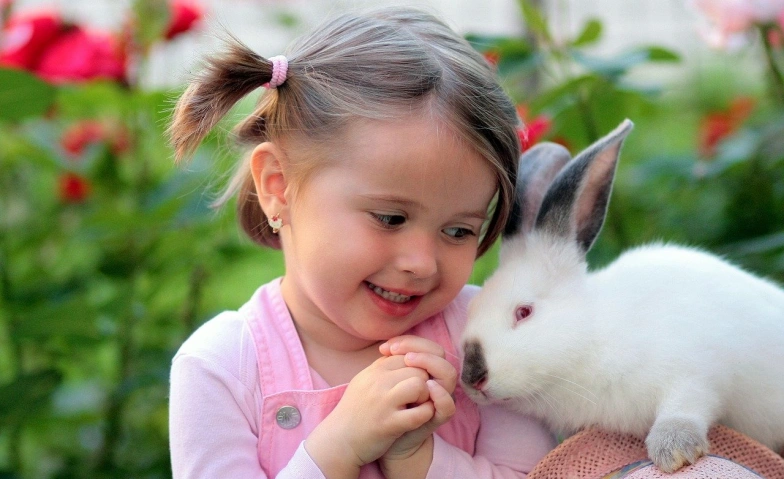 Familiengruppe "Kleine H&auml;schen" Tickets