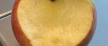 Event-Image for 'Beiss nicht gleich in jeden Apfel - M&auml;rchen f&uuml;r Erwachsene'
