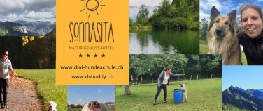 Event-Image for 'Hundelager 2026'