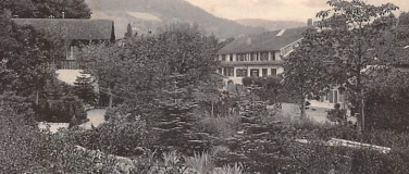 Event-Image for 'Abendspaziergang im Eichenhain Wildenstein'