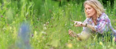 Event-Image for 'Das Ende der Insekten'