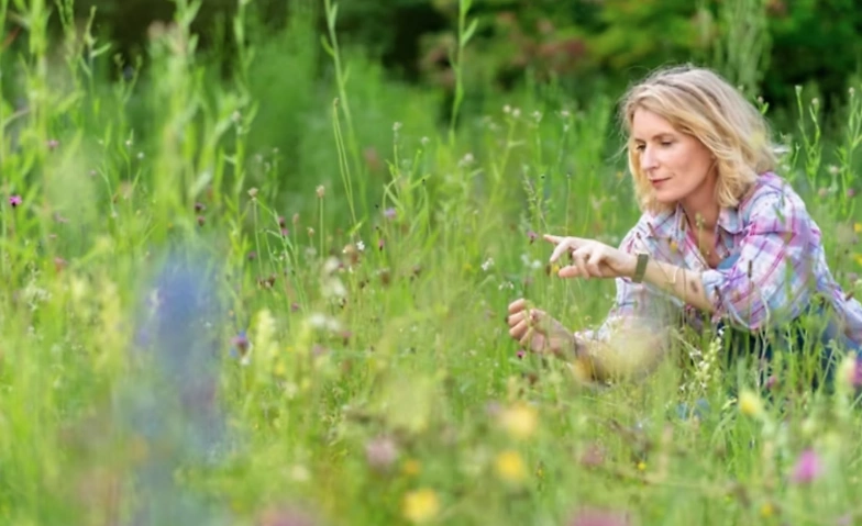 Das Ende der Insekten Billets