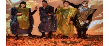 Event-Image for 'BOOKPINK - schr&auml;ge V&ouml;gel wilde Zeiten'