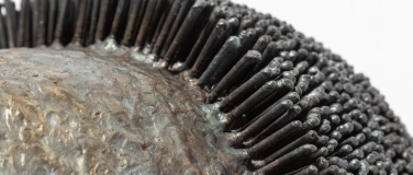 Event-Image for 'Ferose'