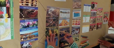 Event-Image for 'Biodiversity Collage'