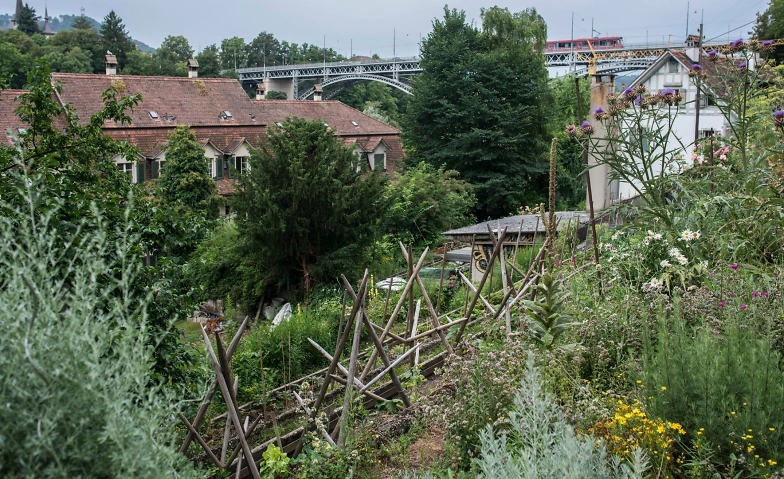 Biologisch G&auml;rtnern mehrteiliger Bioterra Kurs Tickets