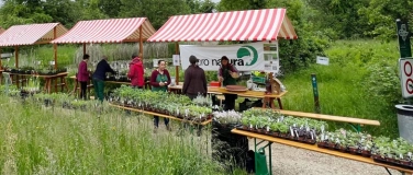 Event-Image for 'Wildpflanzen- und Kr&auml;utermarkt Birsfelden'