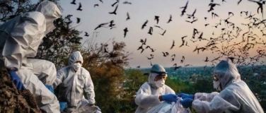 Event-Image for 'Blame'