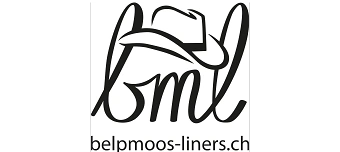 Veranstalter:in von Open-Air zum 10 - j&auml;hrigen Vereinsjubil&auml;um