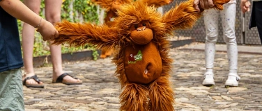 Event-Image for 'Kurzworkshops am Welt-Orang-Utan-Tag'