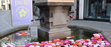 Event-Image for 'Brunnenschmuck von Creativ Floristik Blumen & Caf&eacute;'