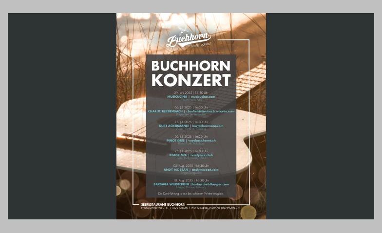 Event-Image for 'Buchhorn Konzerte'