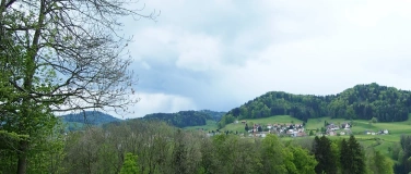 Event-Image for 'Klimaanpassung und Biodiversit&auml;t im Wald'