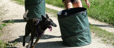Event-Image for 'Postenlauf im Wald für Menschen mit Hund'