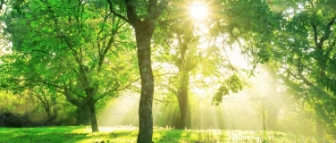 Event-Image for '«Un chemin de guérison: thérapie et croissance spirituelle.»'