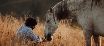 Veranstalter:in von The sacred bond between horses & humanity