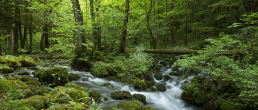 Event-Image for 'Fotokurs / Fotoworkshop am &Uuml;berraschungsort'