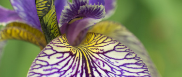 Event-Image for 'Fotokurs / Fotoworkshop Makro im Botanischen Garten Z&uuml;rich'