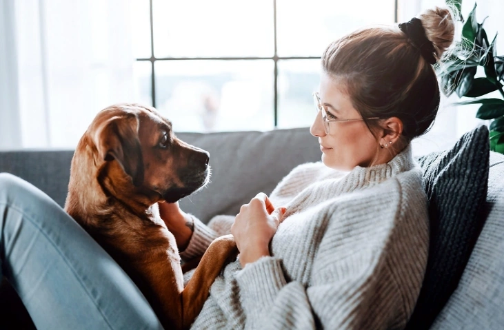 Tagesseminar Tierkommunikation/Tiertelepathie in Zürich Gesundheitszentrum Laubegg, Hegianwandweg 16, 8045 Zürich Billets