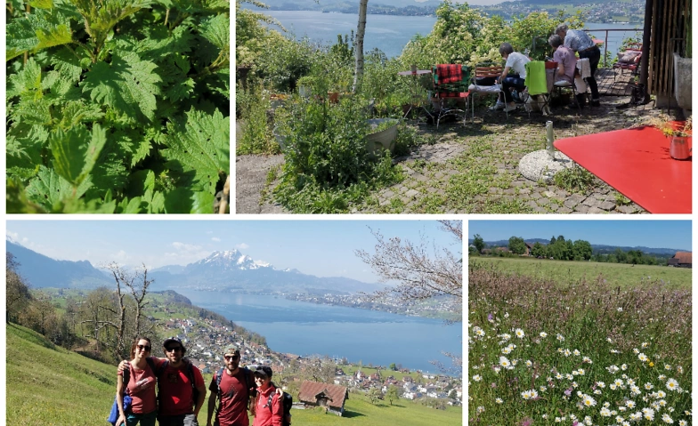 Event-Image for 'Kräuterwanderung am Fusse der Rigi'