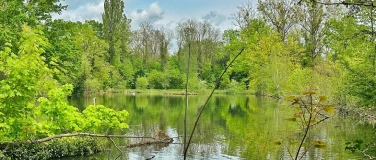Event-Image for 'Naturexkursion «Faszination Wasser»'