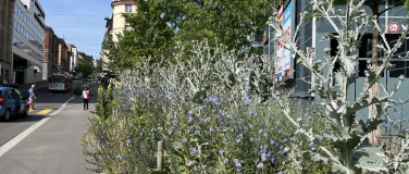 Event-Image for 'Abk&uuml;hlung gesucht! Stadtklima im Wandel'