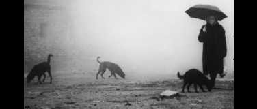 Event-Image for 'Damnation'