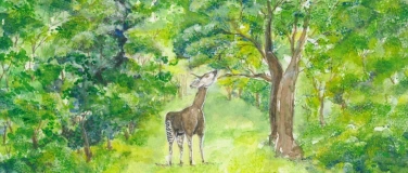 Event-Image for 'Naturama Kinderclub: Mitmachtheater «Das gestreifte Einhorn»'